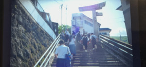 Img_2890 Img_2890