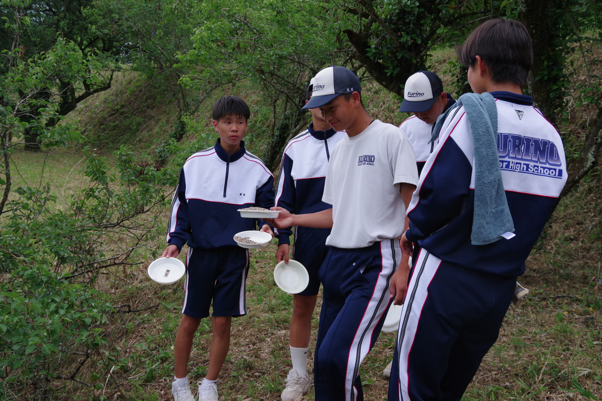 Imgp3618 Imgp3618